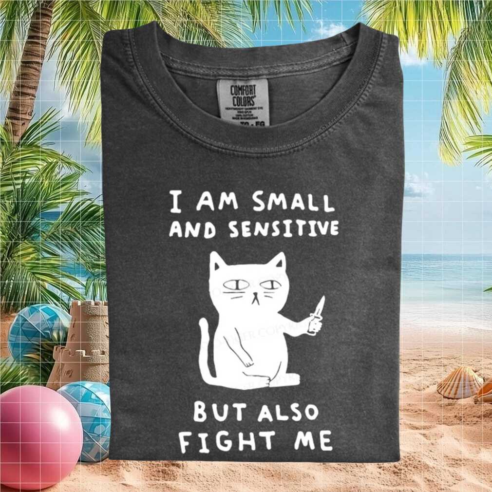 Funny Cat Meme Small And Sensitive Fight Me Graphic T Shirt - Limotees LLC