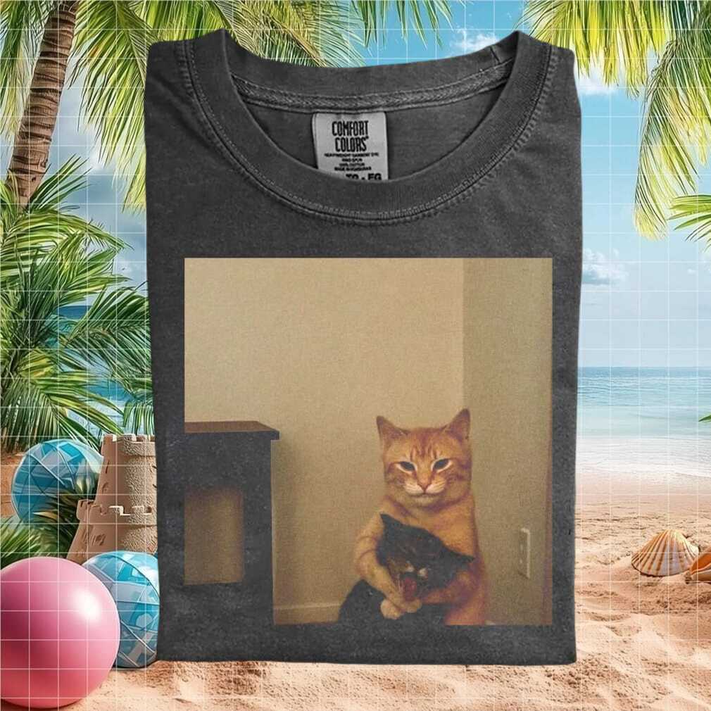 Funny Orange Cat Hugging Black Cat Comfort Aesthetic Graphic T Shirt - Limotees LLC
