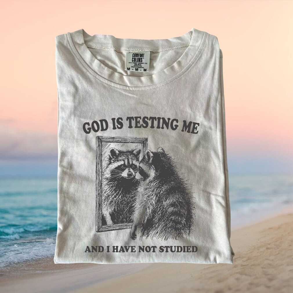 Funny Raccoon Mirror God Testing Me Studying Quote T Shirt - Limotees LLC