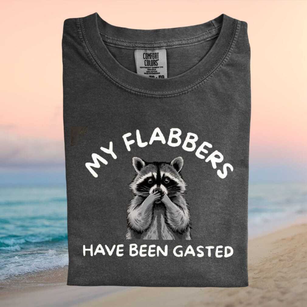 Funny Raccoon My Flabbers Have Been Gasted Meme Graphic T Shirt - Limotees LLC