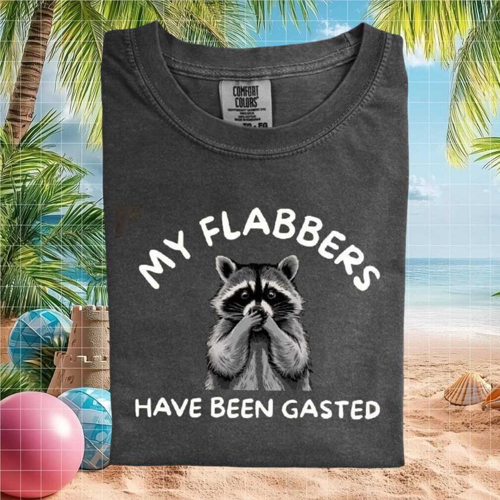 Funny Raccoon My Flabbers Have Been Gasted Meme Graphic T Shirt - Limotees LLC