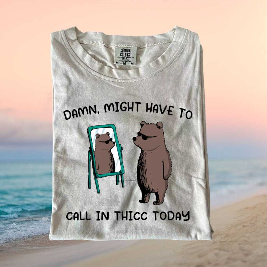 Funny Thicc Bear Mirror Reflection Aesthetic Retro Comfort Colors T Shirt - Limotees LLC